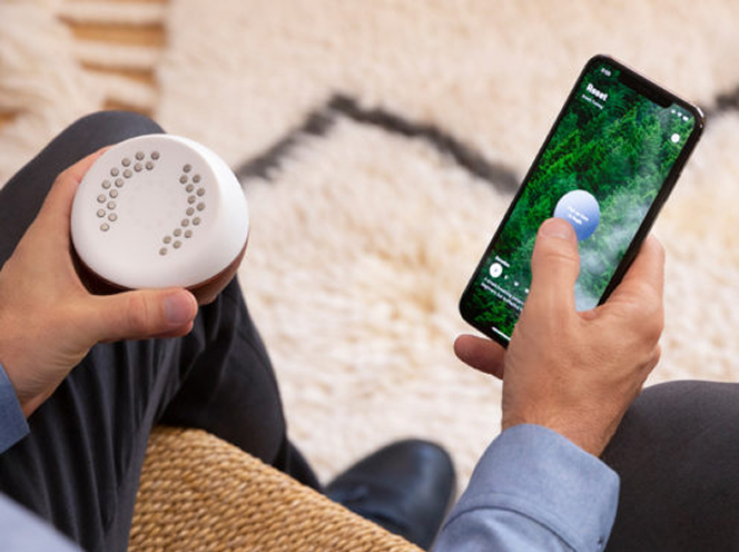Core Meditation Trainer 瞑想トレーニングガジェット Amazon.co.jp: Core Meditation Trainer コア メディテーション