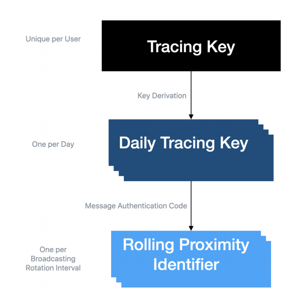 Relationship between the 3 identifier keys